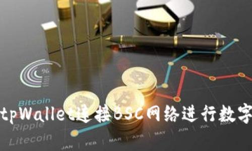 如何使用tpWallet连接BSC网络进行数字资产管理