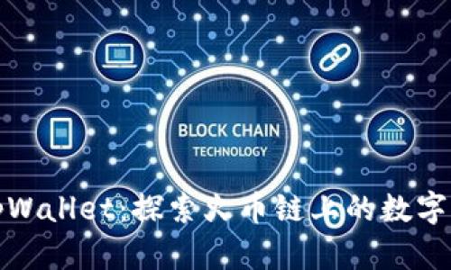 狗狗币与tpWallet：探索火币链上的数字资产新机遇