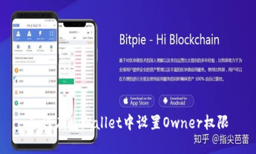 如何在tpWallet中设置Owner权限