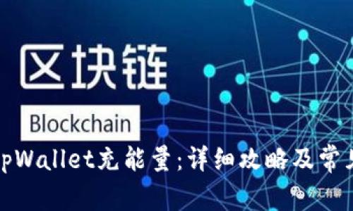 如何使用tpWallet充能量：详细攻略及常见问题解答