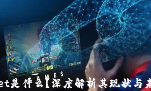 
tpWallet是什么？深度解析其现状与未来发展