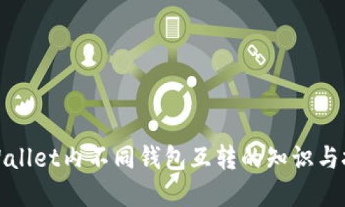 tpWallet内不同钱包互转的知识与技巧