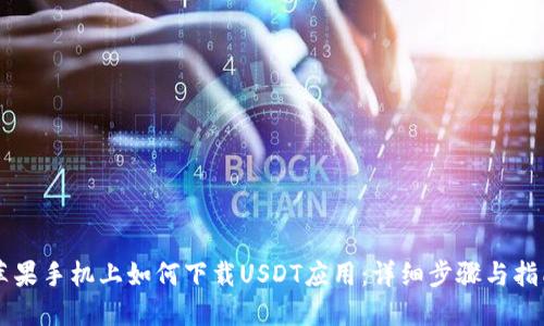 苹果手机上如何下载USDT应用：详细步骤与指南