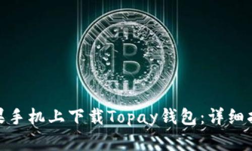 如何在苹果手机上下载Topay钱包：详细指南与步骤