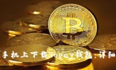 如何在苹果手机上下载T