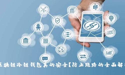 区块链冷链钱包真的安全？防止跑路的全面解析