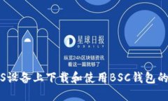 如何在iOS设备上下载和使