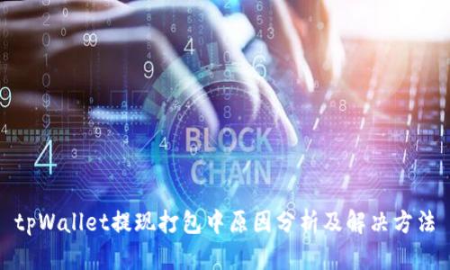 tpWallet提现打包中原因分析及解决方法