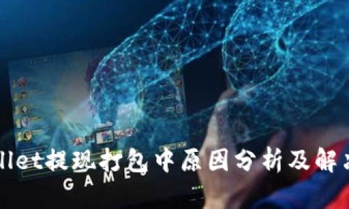 tpWallet提现打包中原因分析及解决方法