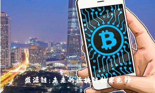 盛源链：未来的区块链技术先锋
