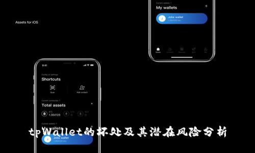 tpWallet的坏处及其潜在风险分析