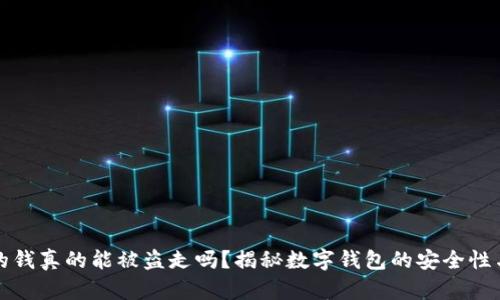 tpWallet的钱真的能被盗走吗？揭秘数字钱包的安全性与防护措施