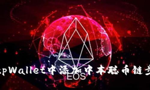 如何在tpWallet中添加中本聪币链步骤详解