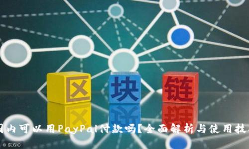 国内可以用PayPal付款吗？全面解析与使用技巧