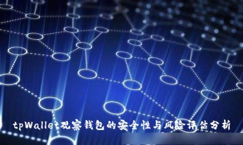 tpWallet观察钱包的安全性与风险评估分析