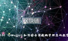 详解BSC tpWallet：如何安全