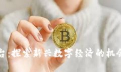 波比平台：探索新兴数字
