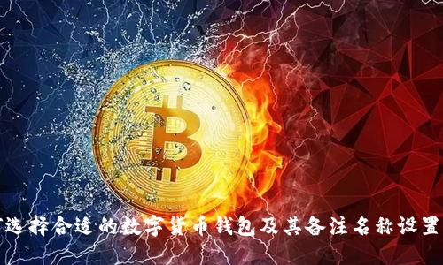 如何选择合适的数字货币钱包及其备注名称设置指南