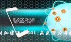 深入解析加密货币SOL：未
