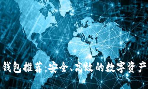 最佳多链钱包推荐：安全、高效的数字资产管理方案