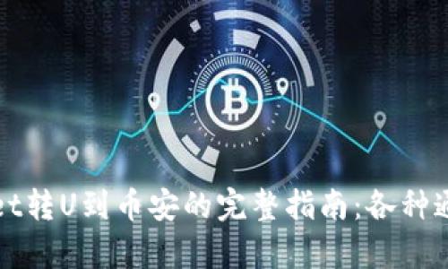 tpWallet转U到币安的完整指南：各种通道解析
