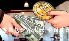 优质数字钱包tpWallet：它到