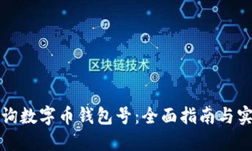 如何查询数字币钱包号：全面指南与实用技巧