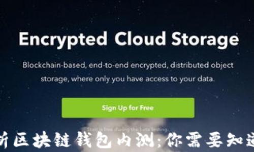 
全面解析区块链钱包内测：你需要知道的一切