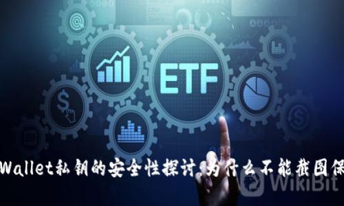 tpWallet私钥的安全性探讨：为什么不能截图保存