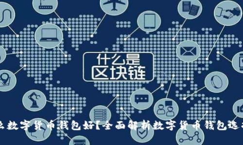 用什么数字货币钱包好？全面解析数字货币钱包选择指南