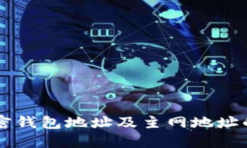 深入了解加密钱包地址及主网地址的区别与联系