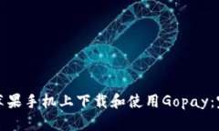 如何在苹果手机上下载和
