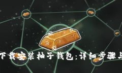 如何快速下载安装柚子钱