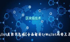 tpWallet是软钱包吗？全面解