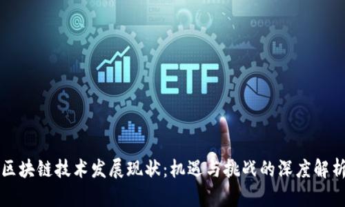 区块链技术发展现状：机遇与挑战的深度解析