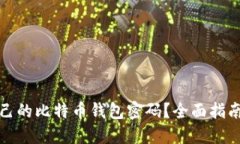 如何找回自己的比特币钱