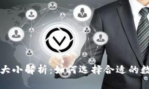 区块链钱包大小解析：如何选择合适的数字货币钱包