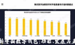 深度解析中国数字钱包：