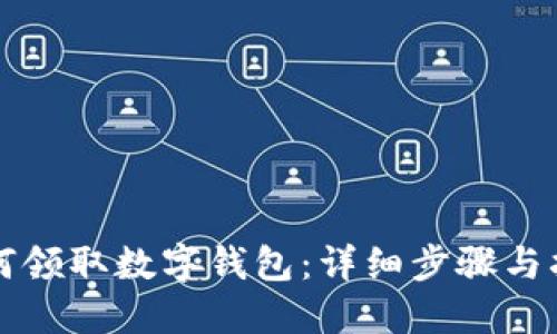 如何领取数字钱包：详细步骤与指南