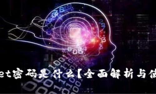 tpWallet密码是什么？全面解析与使用指南