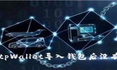 如何解决tpWallet导入钱包后