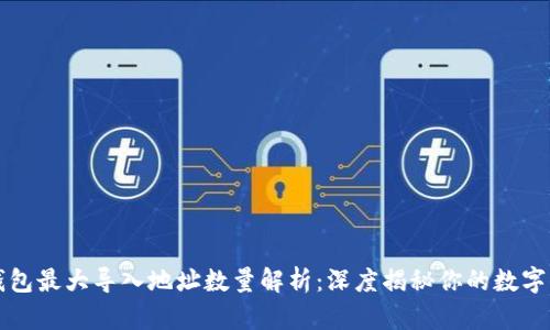 区块链钱包最大导入地址数量解析：深度揭秘你的数字资产管理