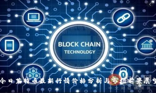今日莱特币最新行情价格分析与市场前景展望