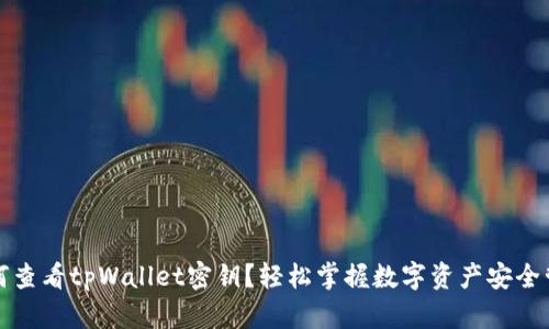 如何查看tpWallet密钥？轻松掌握数字资产安全管理
