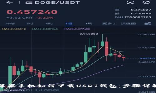 苹果手机如何下载USDT钱包：步骤详解