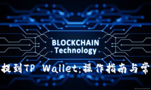 如何将BNB提到TP Wallet：操作指南与常见问题解答