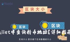 如何在tpWallet中查询持币地