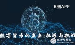 数字货币的未来：机遇与