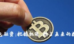 数字货币钱包融资：把握