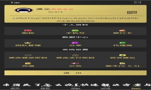 tpWallet里的币消失了怎么办？快速解决方案与常见问题解答